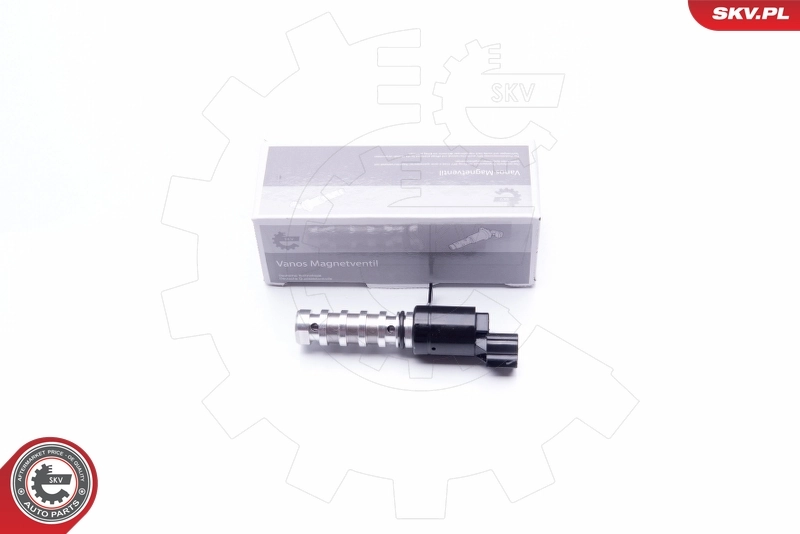 39SKV021 SKV
