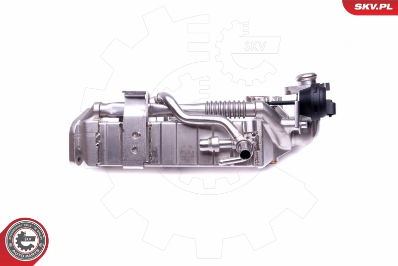 Enfriador de recirculación de gases de escape EGR SKV 14SKV228 precio, desde 367,21 EUR