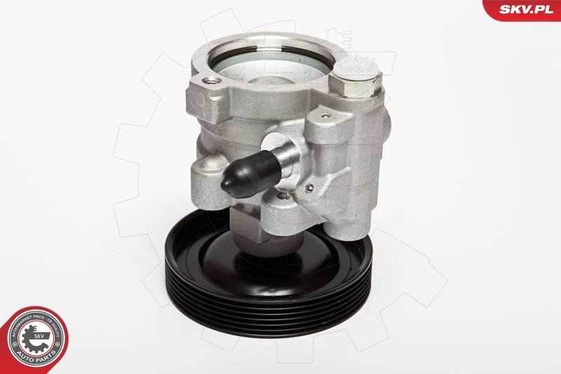Bomba de dirección asistida  SKV 10SKV068 precio, desde 88,84 EUR