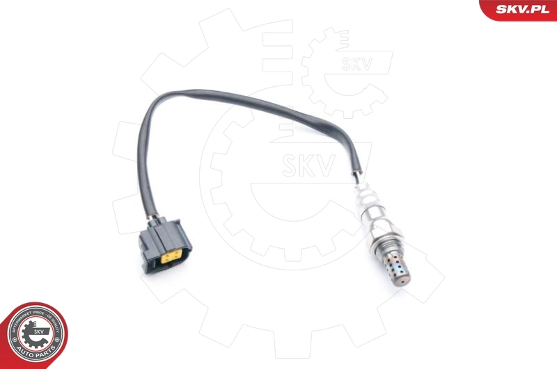 09SKV725 SKV