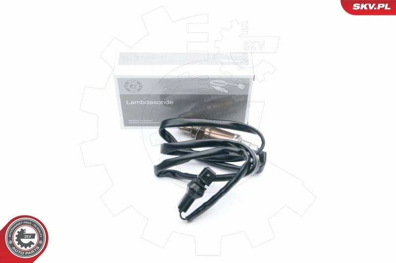09SKV544 SKV
