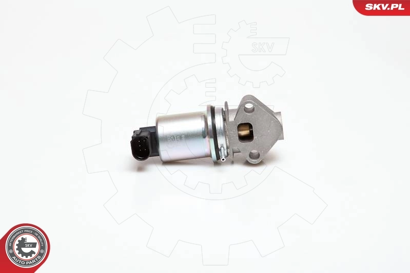 14SKV029 SKV