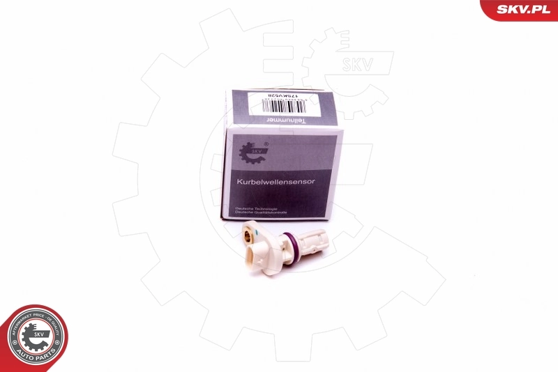 17SKV528 SKV