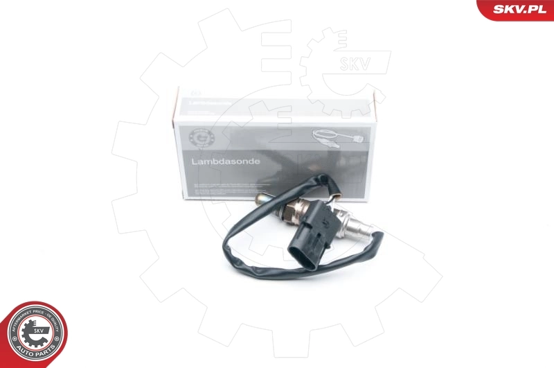 09SKV533 SKV