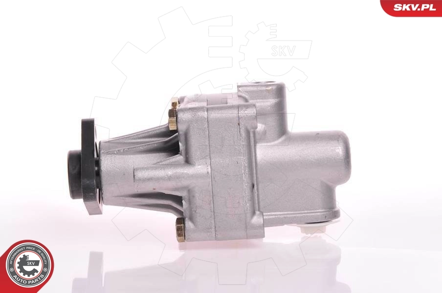 Bomba de dirección 10SKV125 SKV