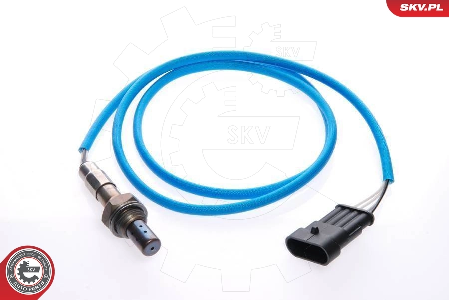 09SKV032 SKV