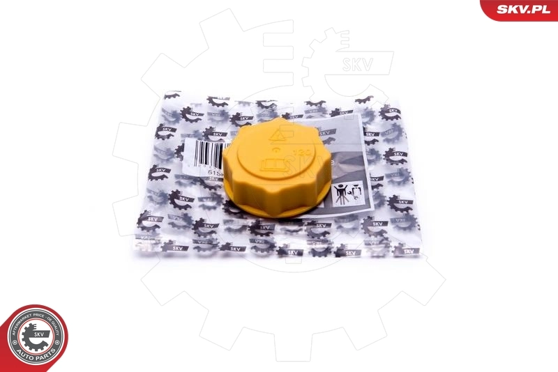 Tapa de depósito de agua Ford Mondeo I (BNP)