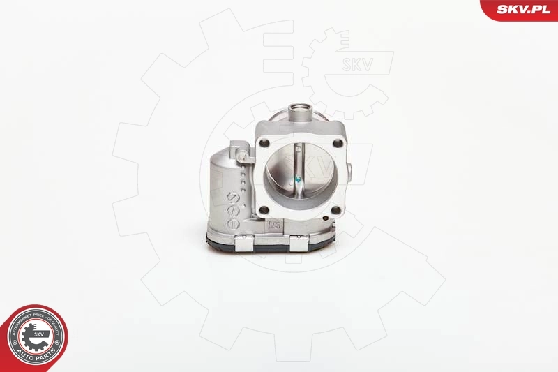 Cuerpo de aceleración completo SKV 12SKV039 precio, desde 56,63 EUR