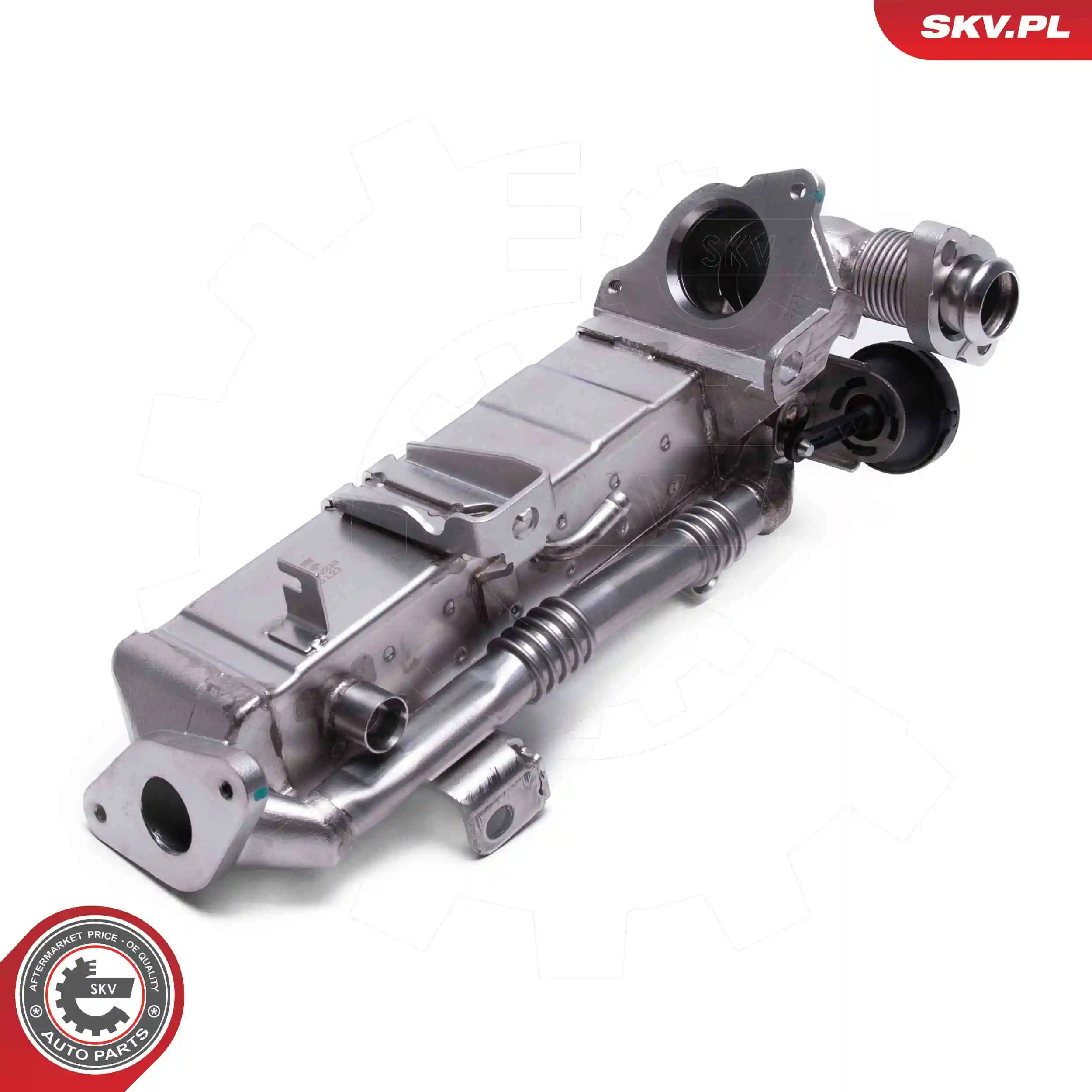 14SKV239 SKV Válvula EGR