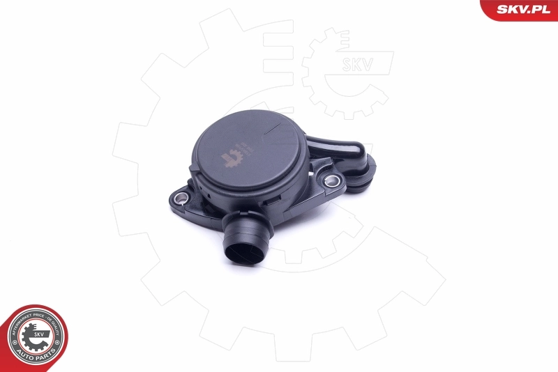 31SKV156 SKV Válvula de ventilación del cárter