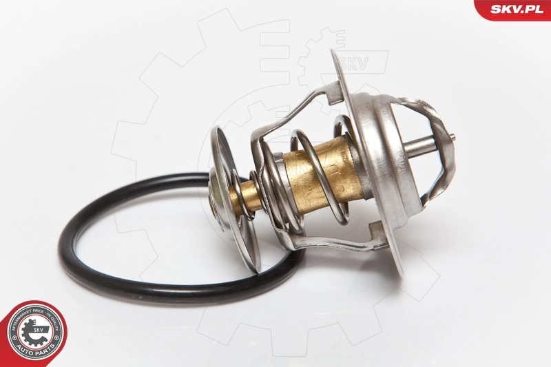 Comprar 20SKV003 SKV Termostato