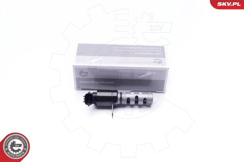 39SKV017 SKV