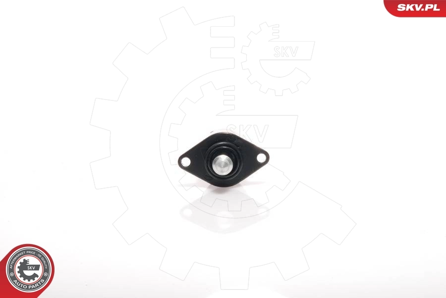 Comprar Válvula IAC Alfa Romeo 33  907A