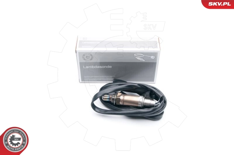 09SKV546 SKV