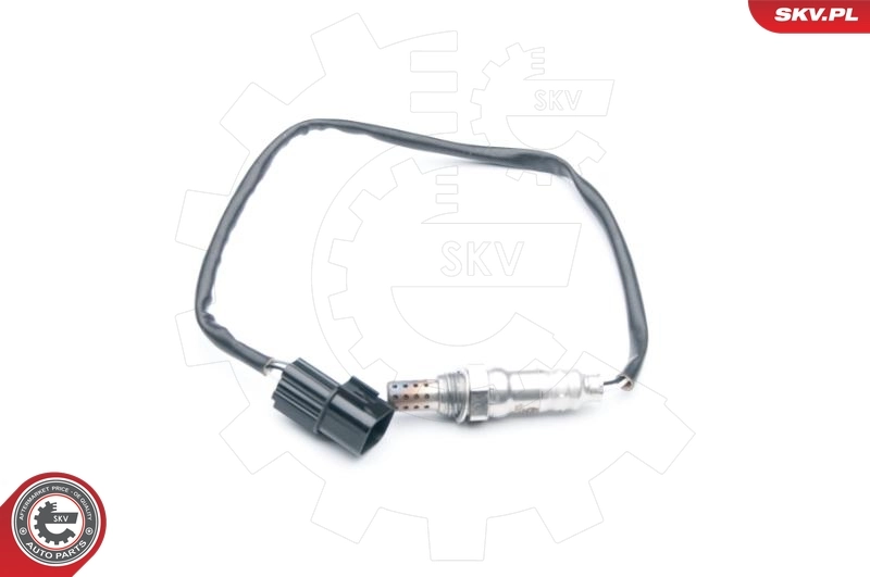 09SKV731 SKV