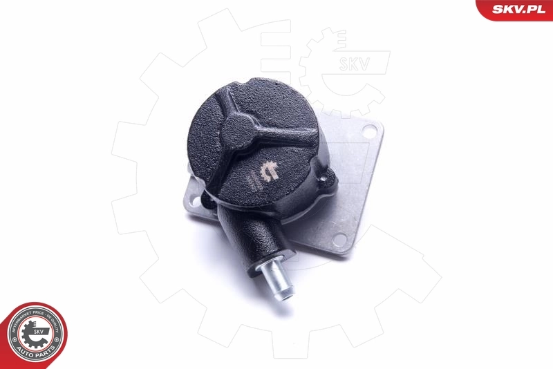 Bomba de vacío 504019972 Peugeot/Citroen