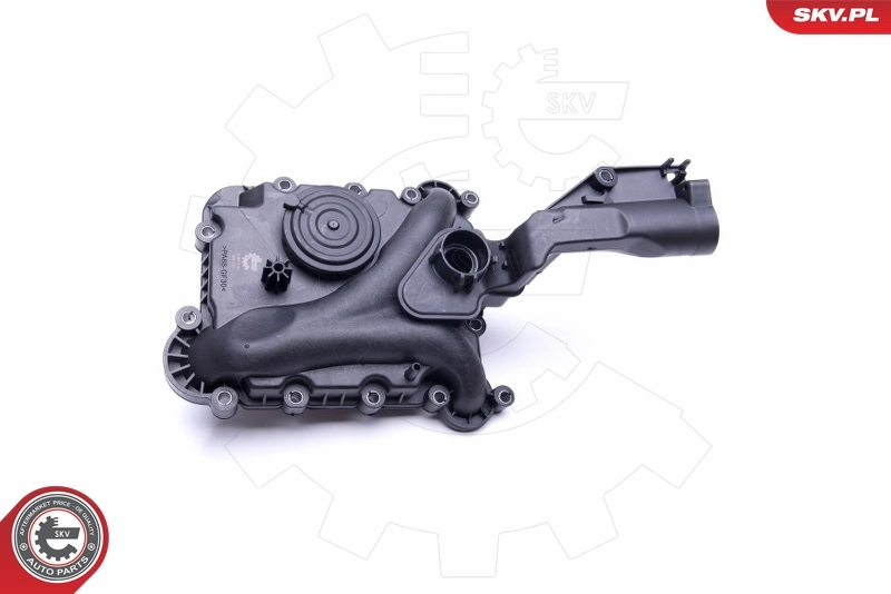 Válvula, ventilación cárter SKV 31SKV160 precio, desde 85,74 EUR