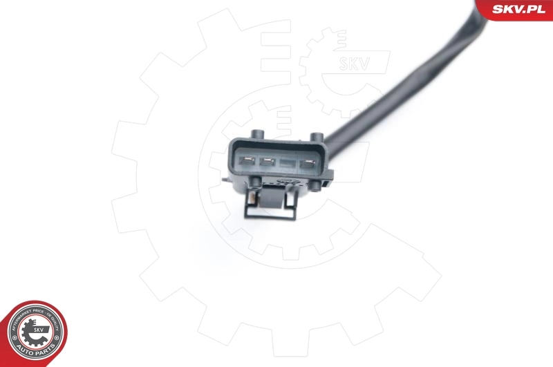 09SKV663 SKV