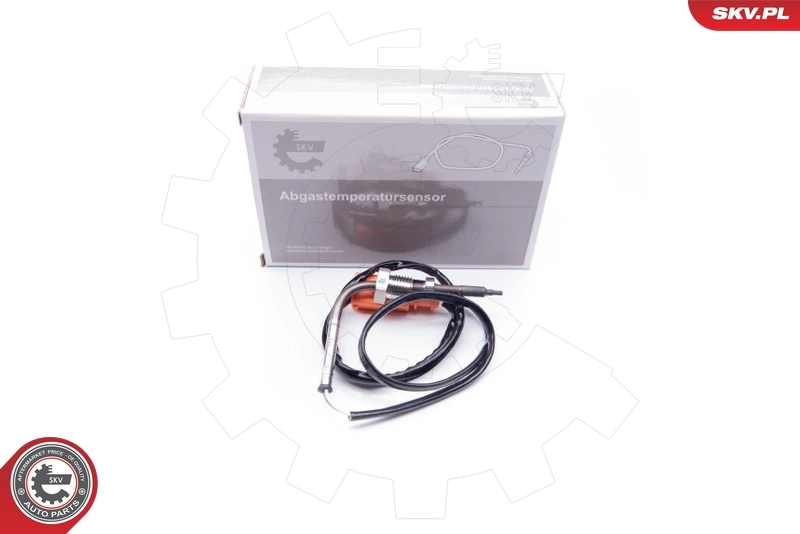 30SKV038 SKV