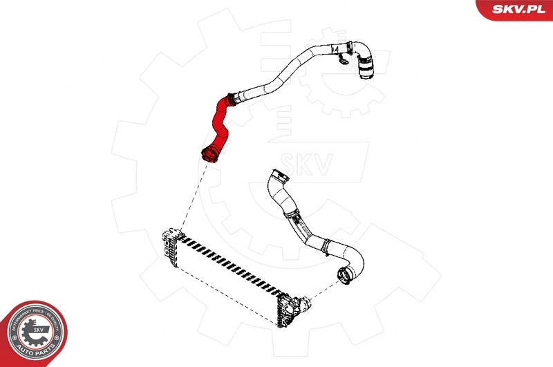 Comprar 60N3PT3 Polcar Tubo intercooler