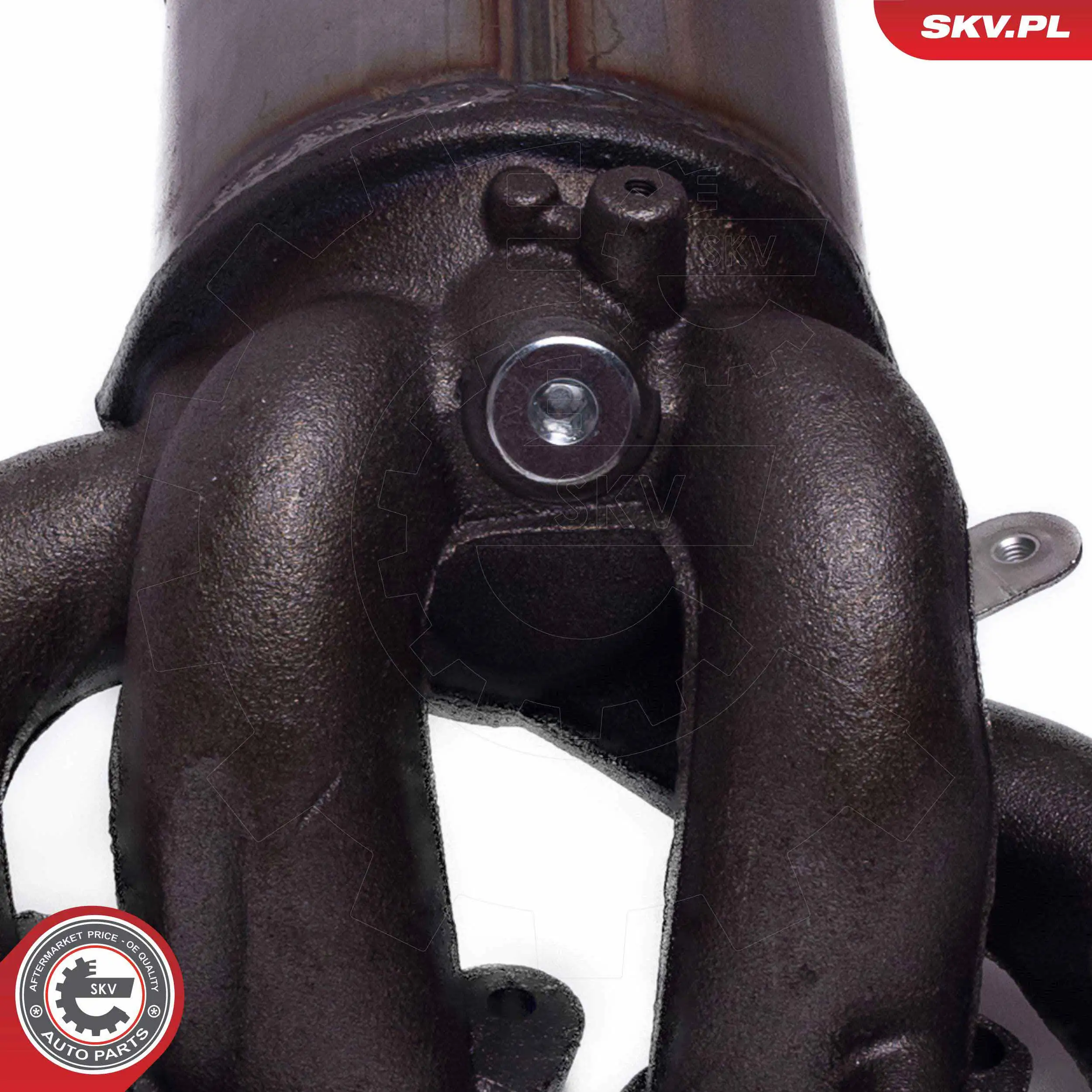 Comprar 62SKV021 SKV Catalizador