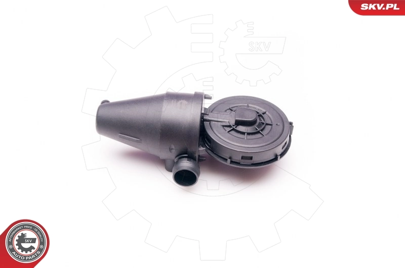 31SKV038 SKV