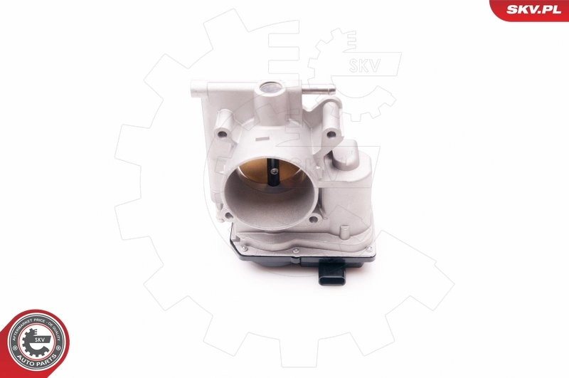 Cuerpo de aceleración completo SKV 12SKV070 precio, desde 99,27 EUR