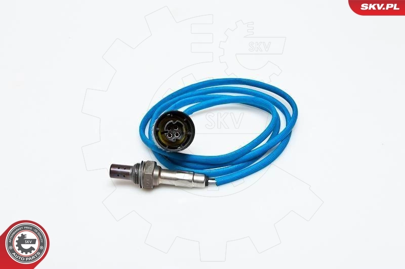 09SKV049 SKV