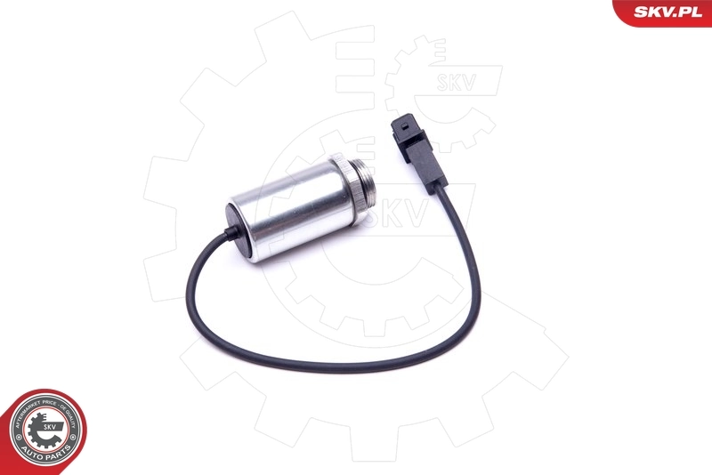Válvula de control del árbol de levas SKV 39SKV048 precio, desde 42,79 EUR