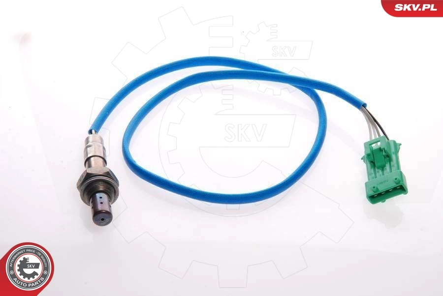 09SKV075 SKV