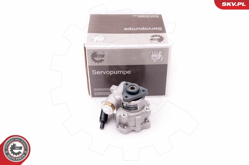 10SKV239 SKV