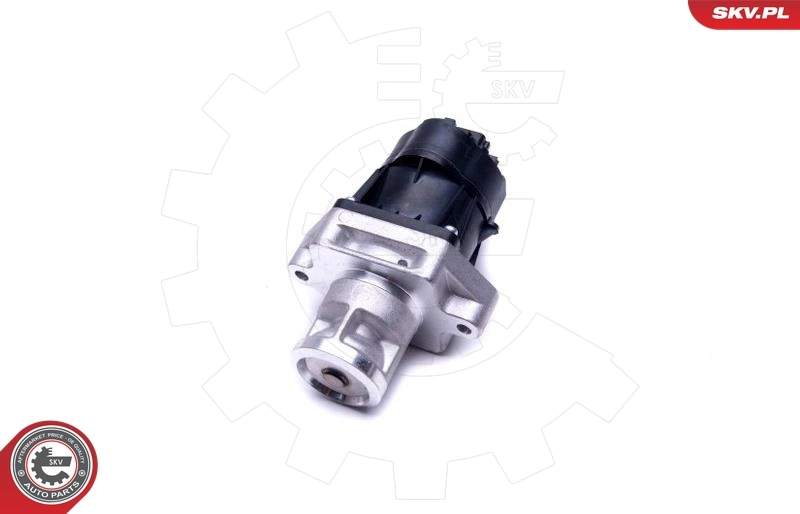 Comprar 14SKV217 SKV Válvula EGR