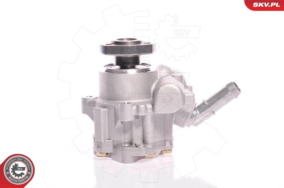 10SKV165 SKV