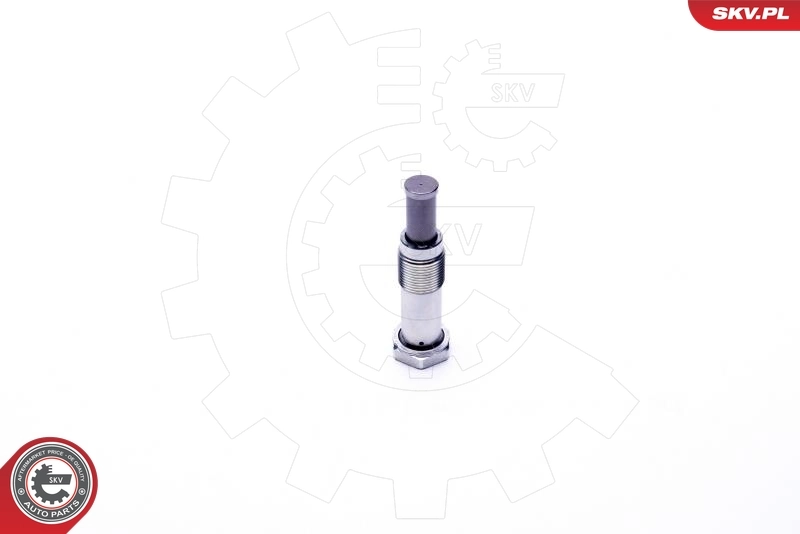 Tensor de cadena de distribución VAG 11317567680 precio, desde 35,70 EUR