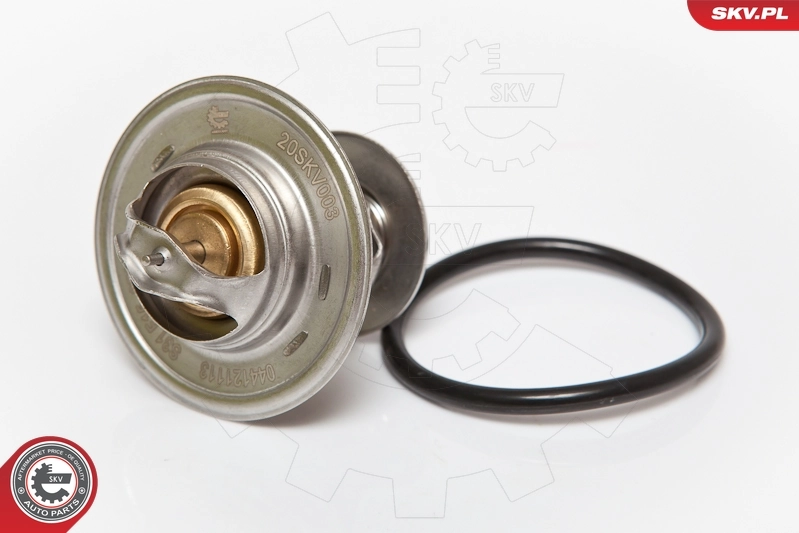 Termostato para Ford Transit T