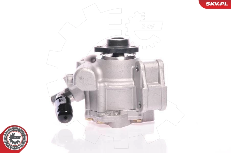 10SKV148 SKV