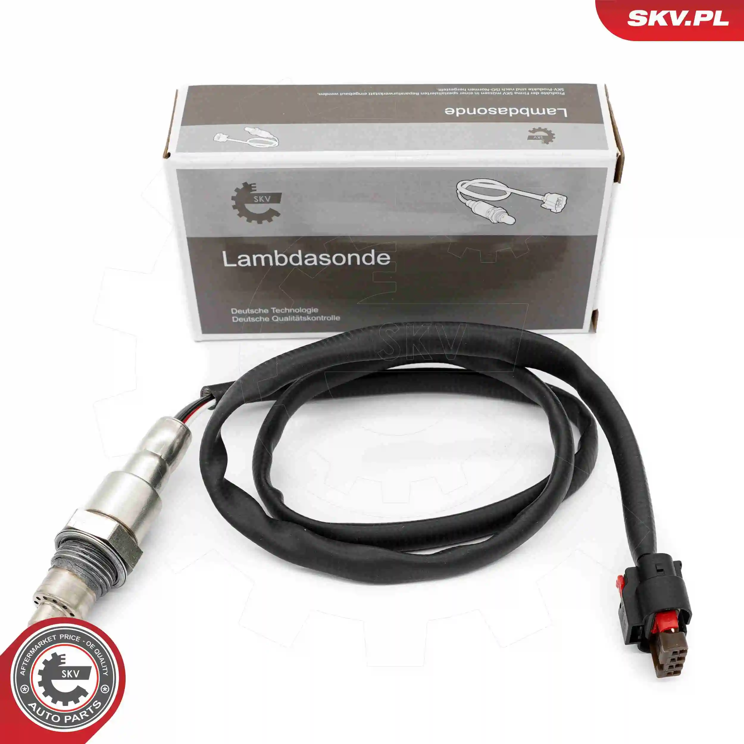 09SKV168 SKV