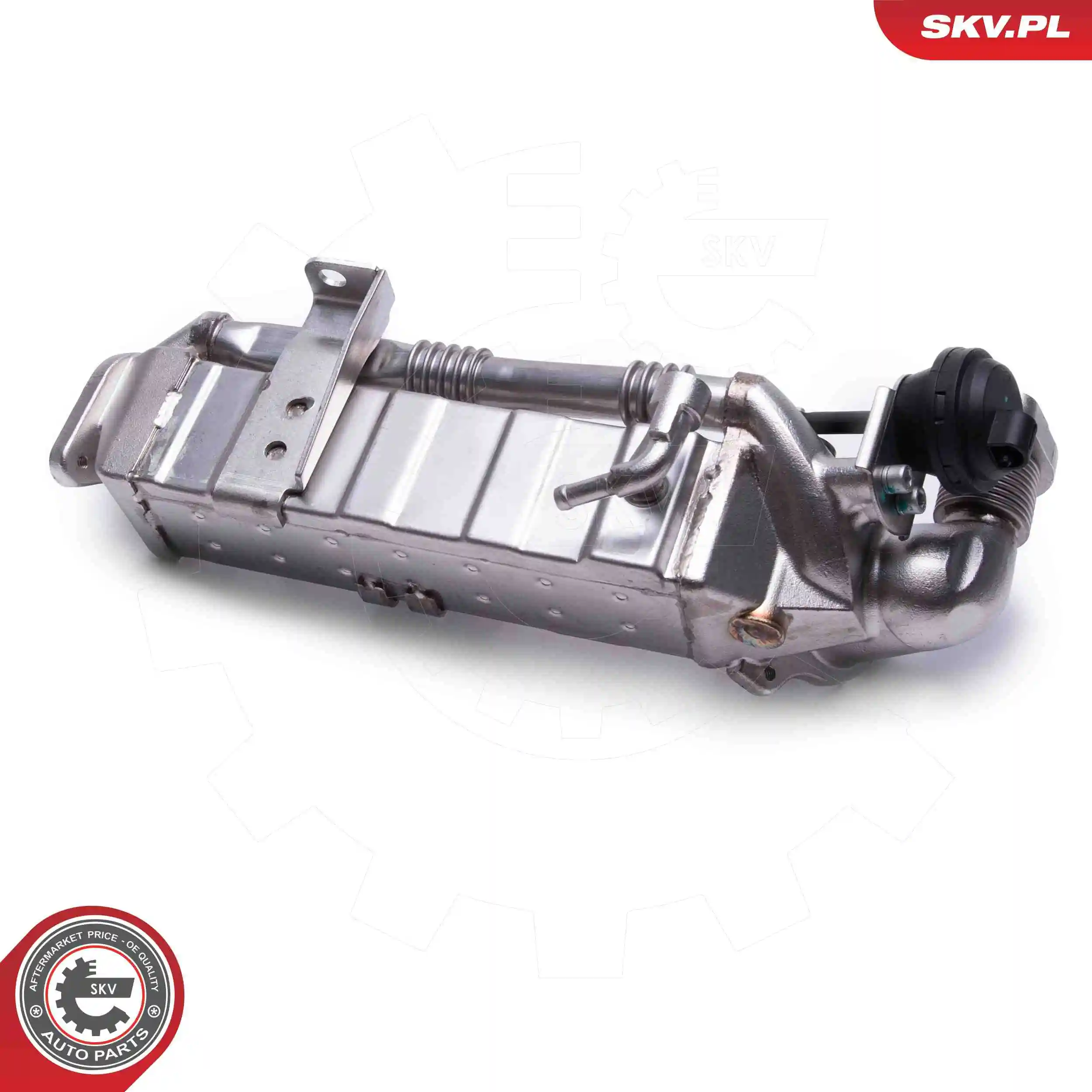 Comprar 14SKV239 SKV Válvula EGR