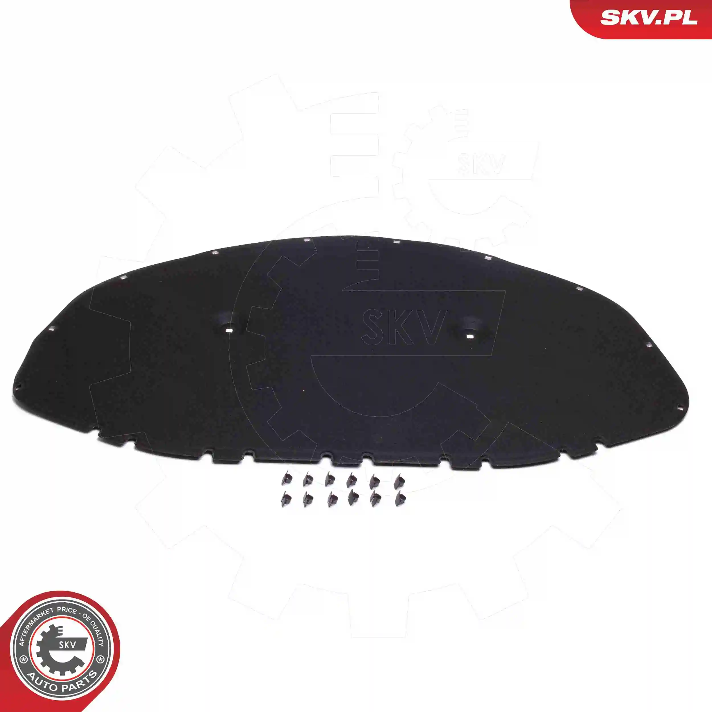 97SKV875 SKV