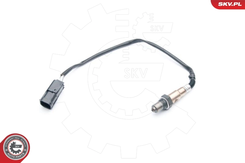 09SKV738 SKV