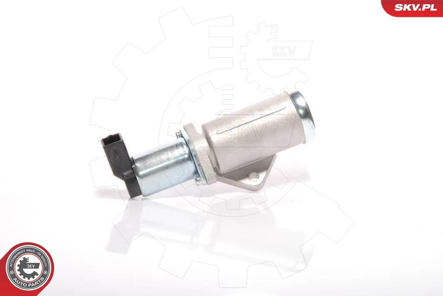 Comprar Válvula IAC Ford Sierra II BNG
