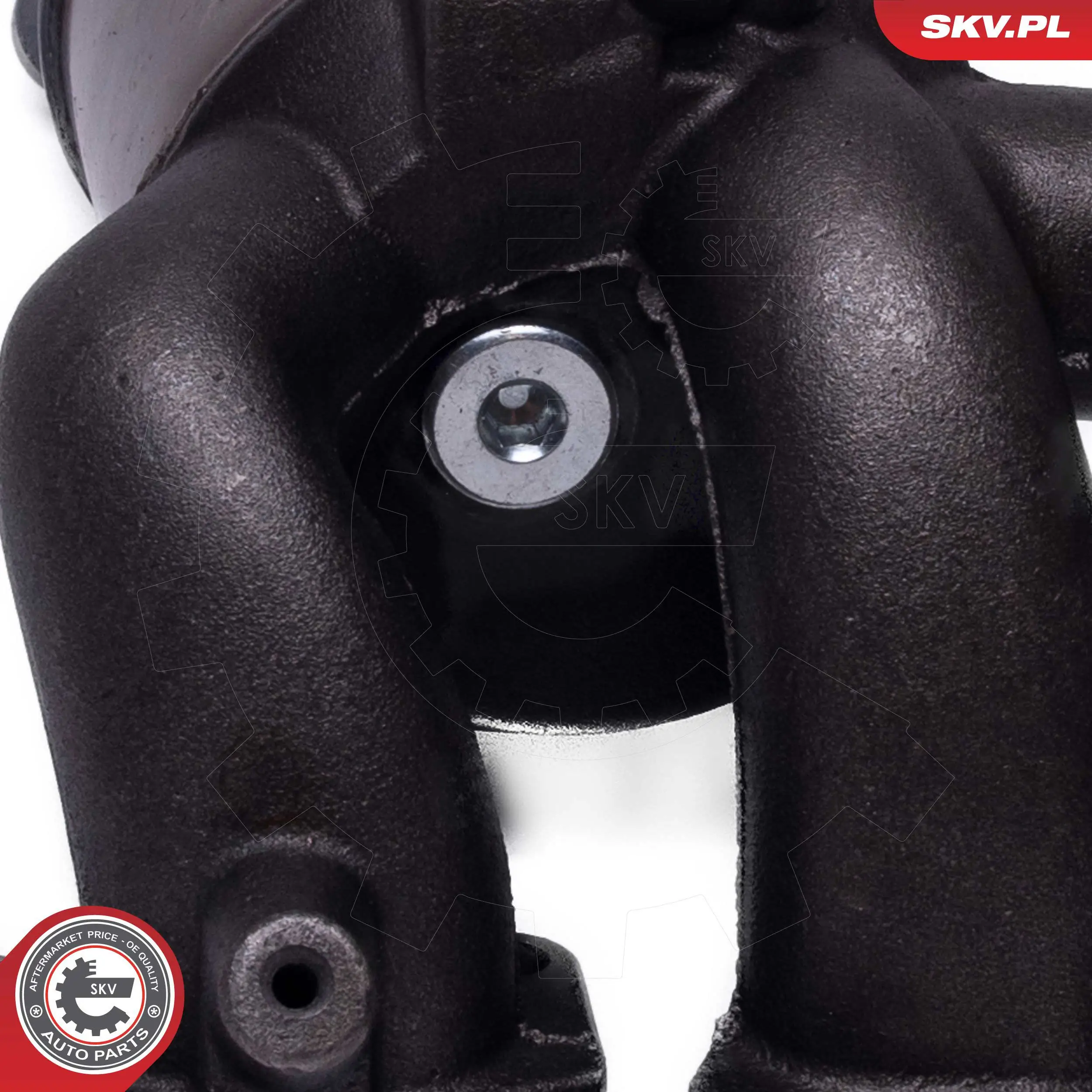 Comprar 62SKV012 SKV Catalizador