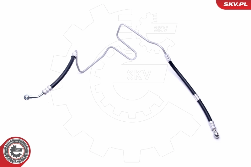 10SKV803 SKV