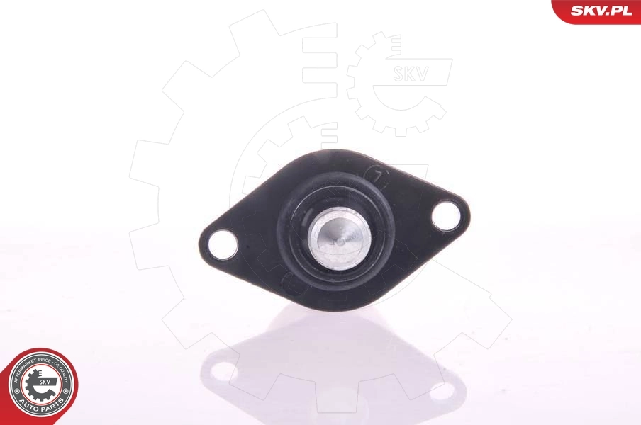 Válvula de mando de ralentí SKV 08SKV040 precio, desde 36,54 EUR