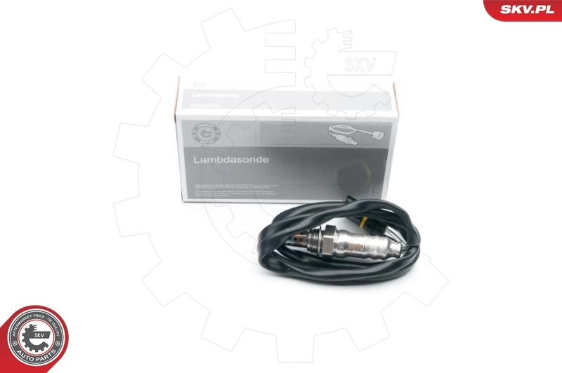 09SKV655 SKV