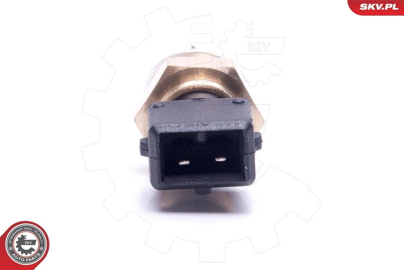 Sensor de temperatura del aire de admisión SKV 17SKV685 precio, desde 11,06 EUR
