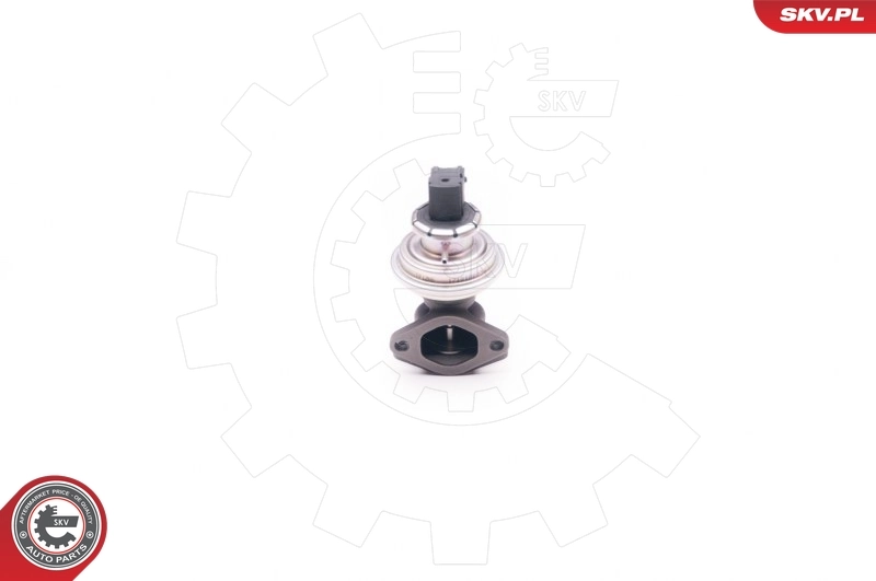 Válvula EGR para Ford Transit IV E