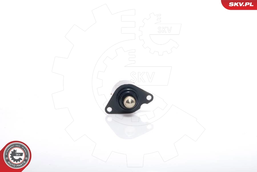 08SKV017 SKV