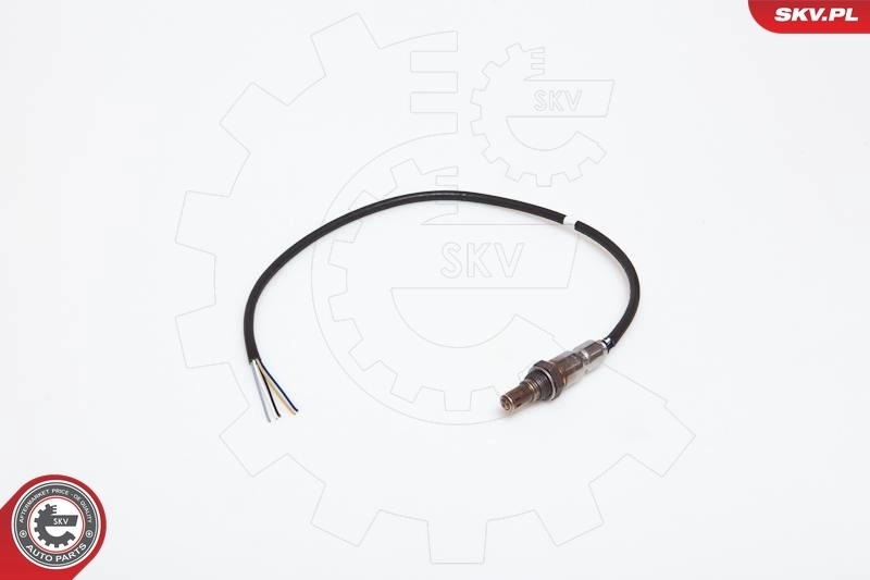 09SKV906 SKV