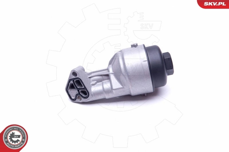 31SKV137 SKV